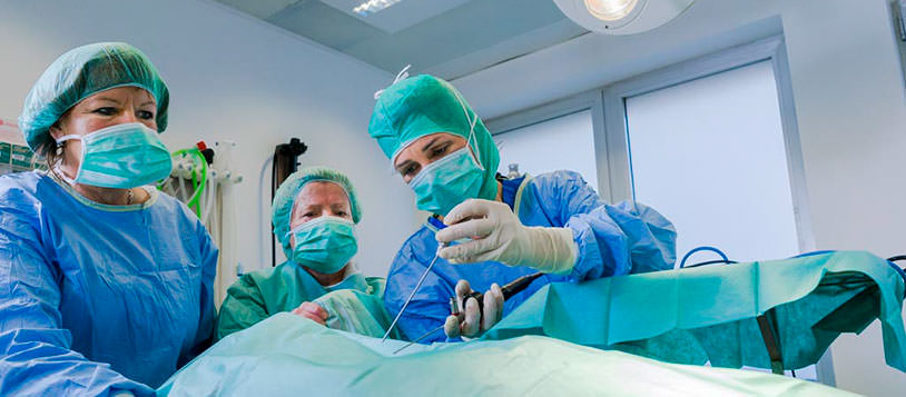 Tierarztpraxis Besserer: Chirurgin Besserer bei der OP